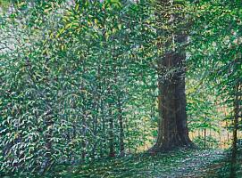 Sternwald 7, 2013, OIl auf Leinwand, 30 x 40 cm